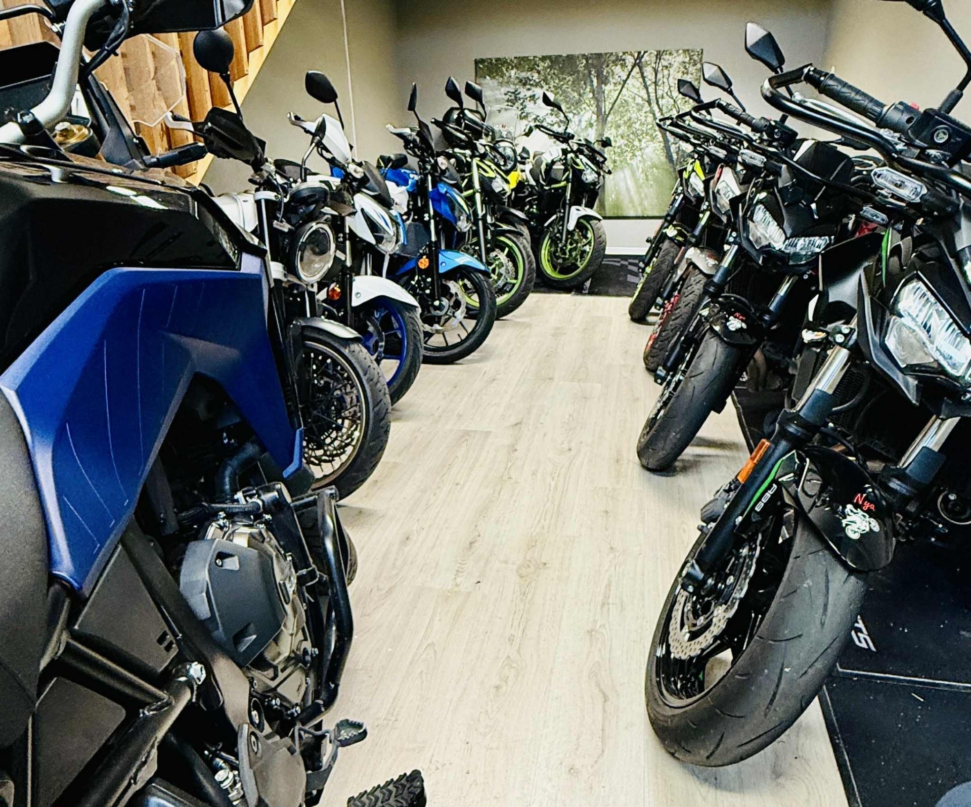 Vintermys i garaget
